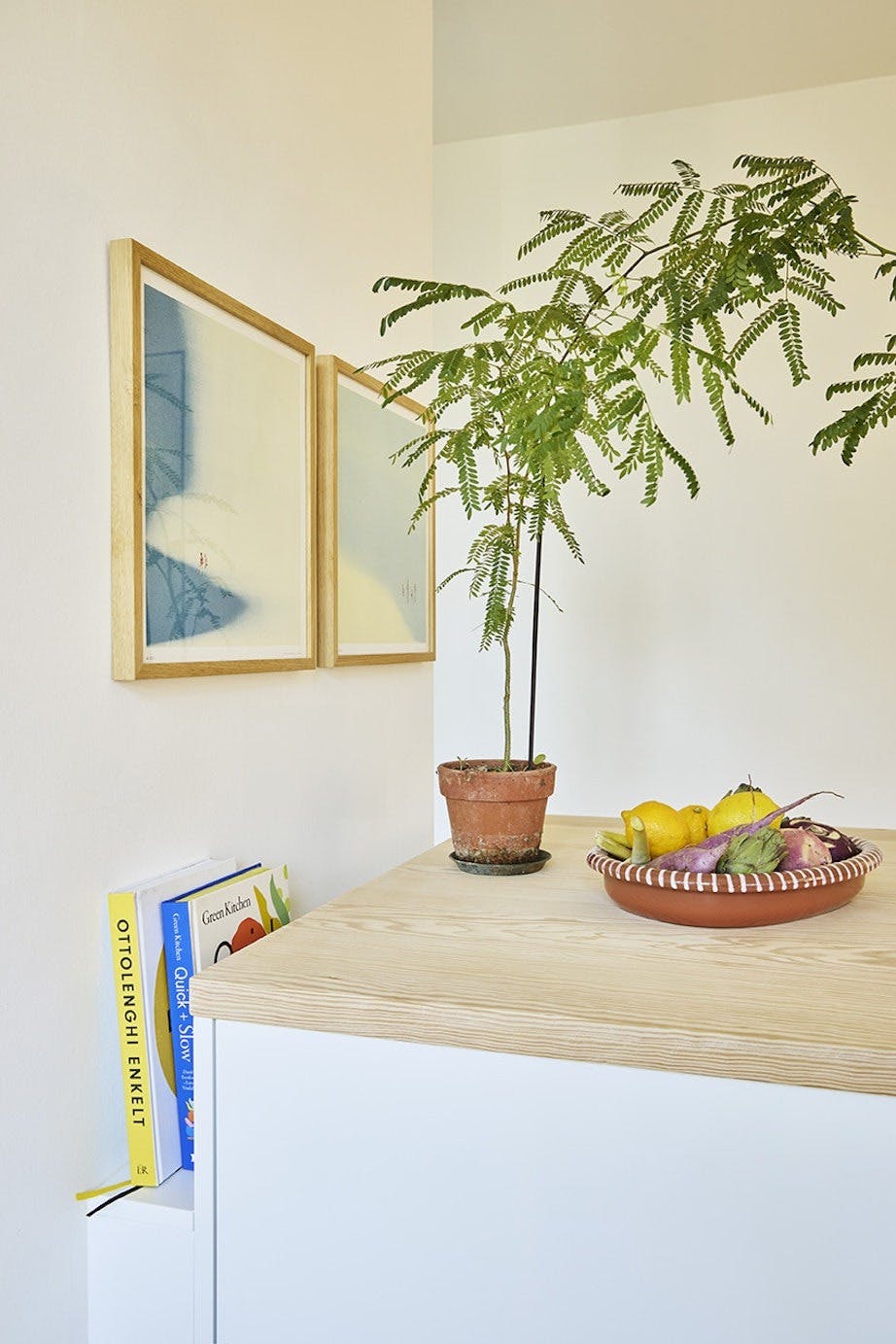 Planter kjøkken